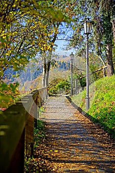 Autumn path