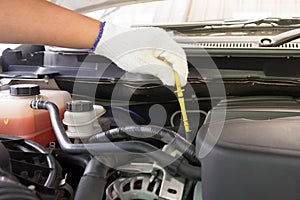 Auto mechanic checking oil level in a car