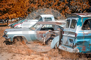 Auto Parts Store in the middle of the desert in autumn season. Old automobiles, car wreckages