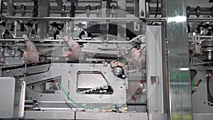 Automate cutting a part of chicken hang on meat process line.