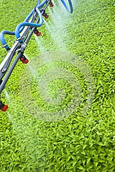 Automated boom waterer in a greenhouse