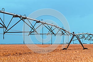 Automated farming irrigation machinery with sprinklers in barley field