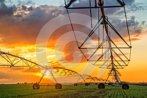 Automated farming irrigation system in sunset