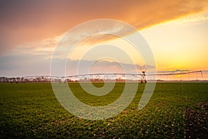 Automated farming irrigation system in sunset