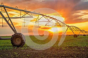 Automated farming irrigation system in sunset