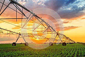 Automated farming irrigation system in sunset photo
