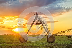 Automated farming irrigation system in sunset