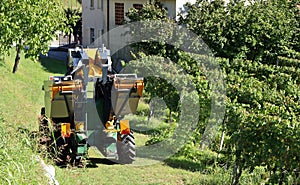 Automated grape harvester machine alongside the vineyards