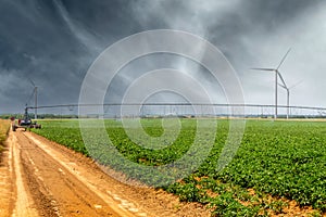 Automated irrigation sprinklers system on a farmland with wind turbines in the background.