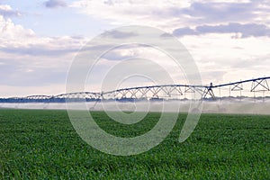 Automated irrigation system