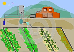 Automatizzato irrigazione sistema 