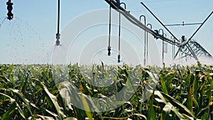 Automated irrigation system on the field