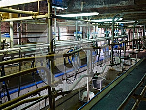 Automated milking equipment milking parlour photo