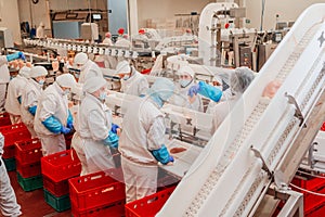 Automated production line with packaging and cutting of meat in modern food factory.Meat processing equipment. Food