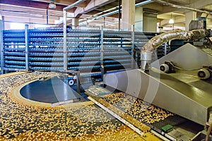 Automated production line of small salt cracker cookies. Oven and conveyor line machine