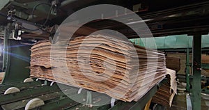 Automated production of plywood sheets at the factory. Finished veneer sheets. Plywood production.