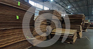 Automated production of plywood sheets at the factory. Finished veneer sheets. Plywood production.