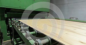 Automated production of plywood sheets at the factory. Finished veneer sheets. Plywood production.