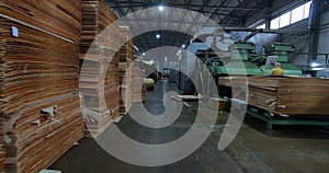 Automated production of plywood sheets at the factory. Finished veneer sheets. Plywood production.