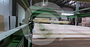 Automated production of plywood sheets at the factory. Finished veneer sheets. Plywood production.