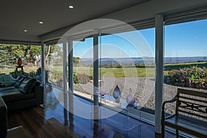 Automated roller blinds in modern residential house