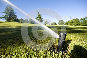 Automated underground sprinkler