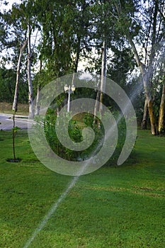 Automated watering system in the garden. Watering grass, trees and shrubs