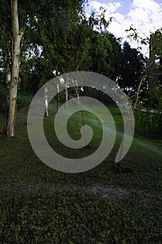 Automated watering system in the Park. Watering grass, trees and shrubs