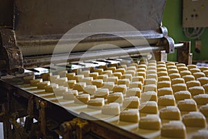 Automatic bakery production line with sweet cookies on conveyor belt equipment machinery in confectionary factory workshop