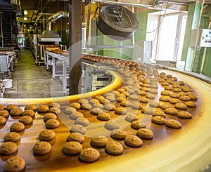 Automatic bakery production line with sweet cookies on conveyor belt equipment machinery in confectionary factory workshop