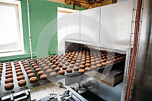 Automatic bakery production line with sweet cookies on conveyor belt equipment machinery in confectionary factory workshop