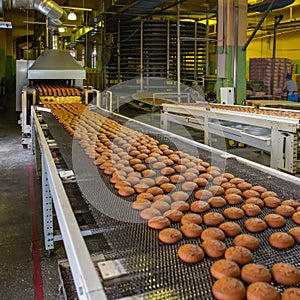 Automatic bakery production line with sweet cookies on conveyor belt equipment machinery in confectionary factory workshop