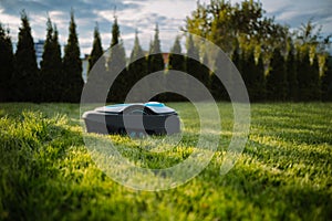 Automatic baterry Lawn mower cutting green grass in modern garden. Sunset mood. Robot. Copyspace