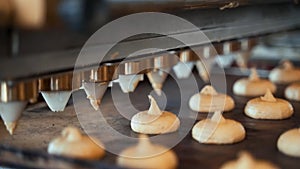 Automatic biscuit production line with sweet cookies.