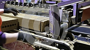 Automatic brick production line. Cutting briquettes into brick blanks