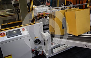 Automatic carton erector