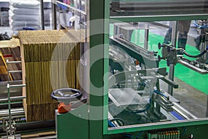 Automatic carton erector