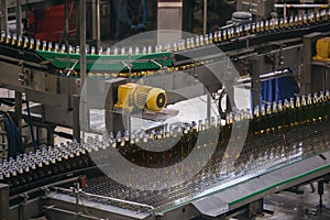 Automatic conveyor line or belt with glass bottles at brewery production. Industrial beer bottling equipment machinery