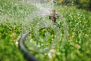 Automatic Garden Lawn sprinkler in action watering grass