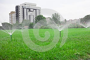 Automatic garden lawn sprinkler in action watering grass