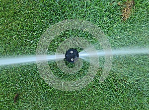 Automatic garden lawn sprinkler in action for watering grass