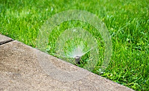 Automatic Garden Lawn sprinkler in action watering grass