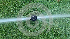 Automatic garden lawn sprinkler in action for watering grass