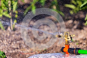 Automatic Garden Lawn sprinkler in action watering grass. Green Nature Background concept