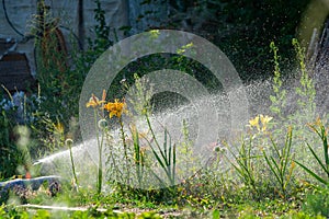 Automatic Garden Lawn sprinkler in action watering grass. Green Nature Background concept