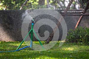 Automatic Garden Lawn sprinkler in action watering grass and Sprinkler plant works under a new tree