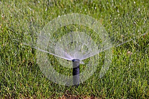 Automatic garden lawn sprinkler watering glass