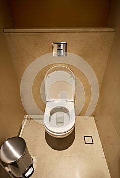 Automatic induction toilet flush toilet