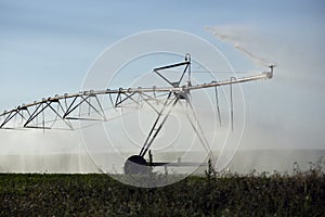 Automatic irrigation sprinklers, extensive agriculture