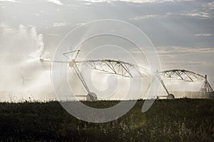 Automatic irrigation sprinklers, extensive agriculture
